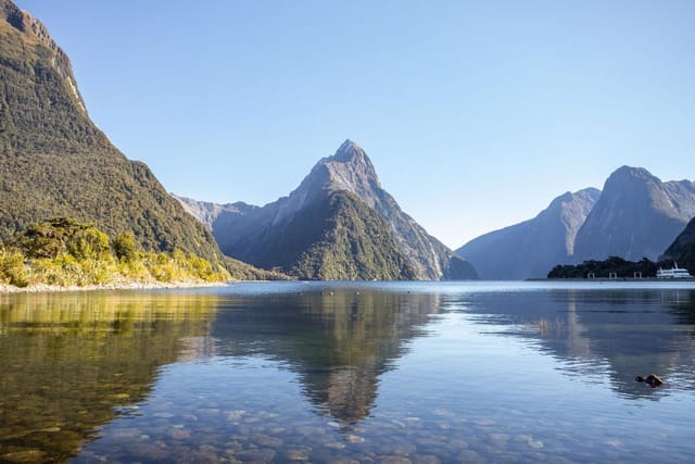 Day Trip from Queenstown To Milford Sound Including Picnic Lunch - Photo 1 of 25